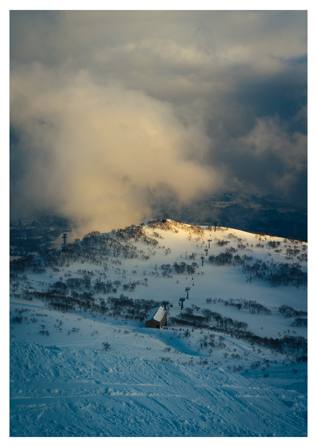 Niseko (Signed, Limited Edition)
