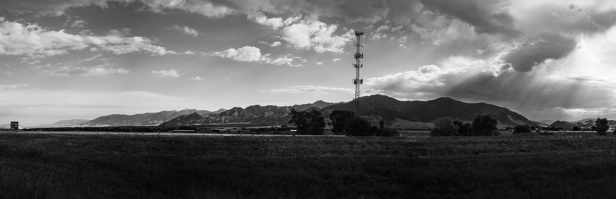 Montana (Signed, Limited Edition)